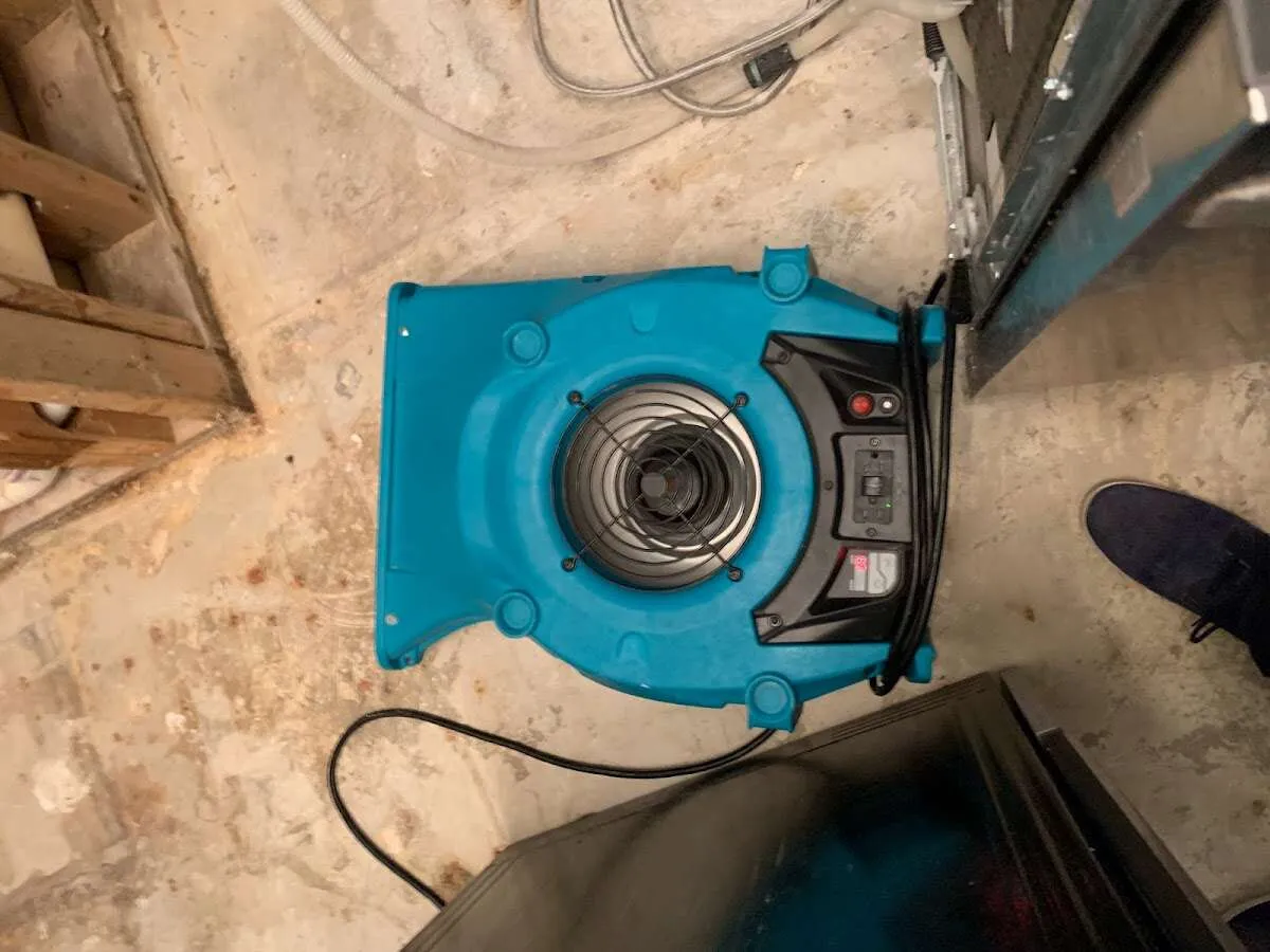 Air mover drying equipment for Mold Remediation & Removal in Reading